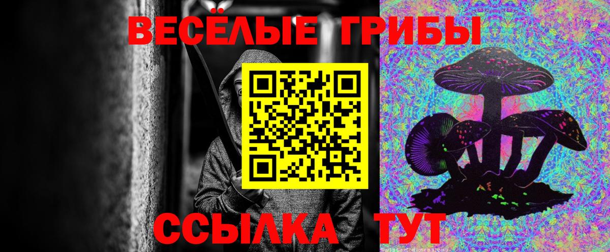 Галлюциногенные грибы GOLDEN TEACHER Алексеевка