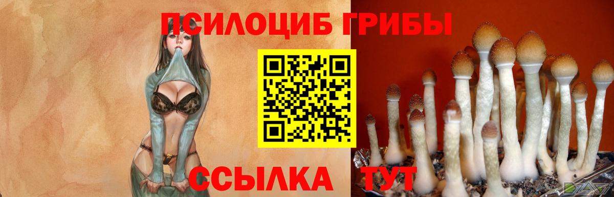Алексеевка  хочу наркоту  Вход с VPN  Галлюциногенные грибы ЛСД 
